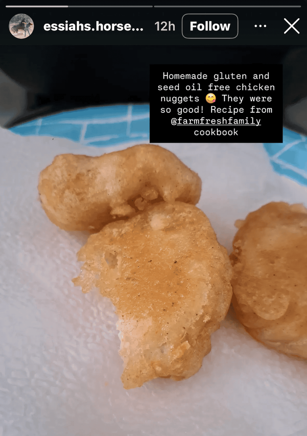 chicken nugget testimonial "homemade gluten and seed oil free chicken nuggets. They were so good! Recipe from @farmfreshfamily cookbook.