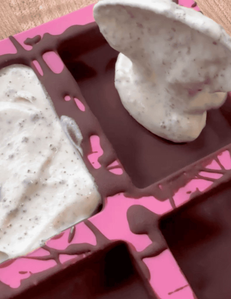 Delicious homemade chocolate and vanilla ice cream bar with a creamy texture and rich flavor. Perfec.