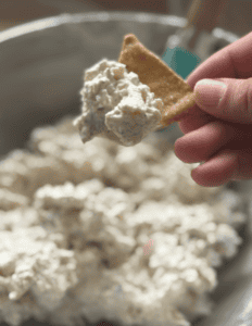 Protein Packed Club Sandwich Dip