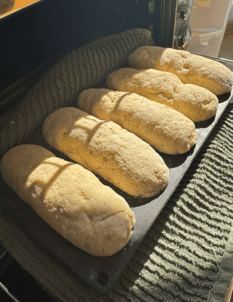 gluten free hot dog buns proving.