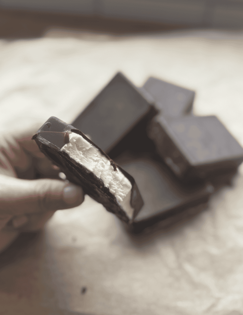 Delicious homemade chocolate mint bars with creamy filling, perfect for dessert or snacking.