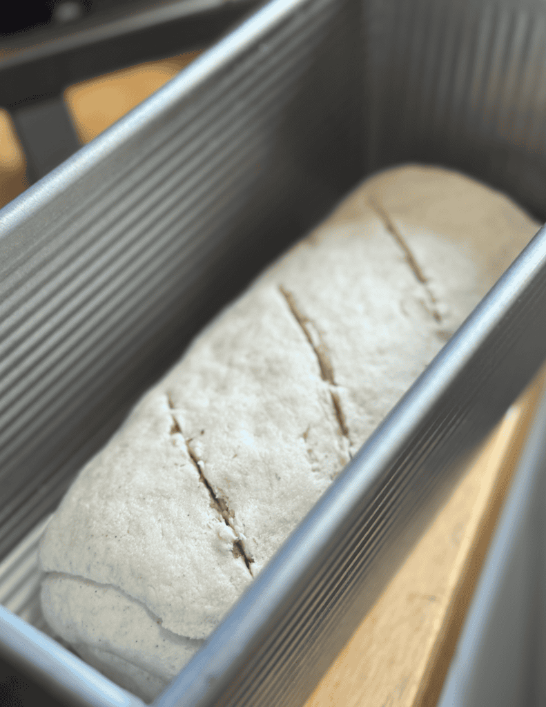 Fresh farm bread loaf in a metal baking pan.