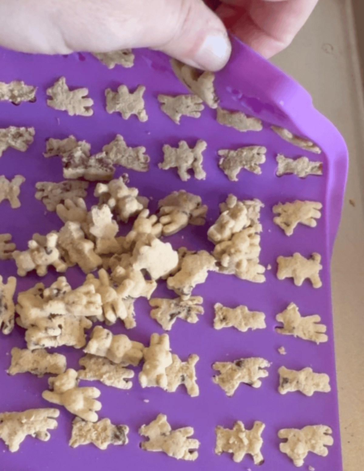 purple teddy grahams mold chocolate chip