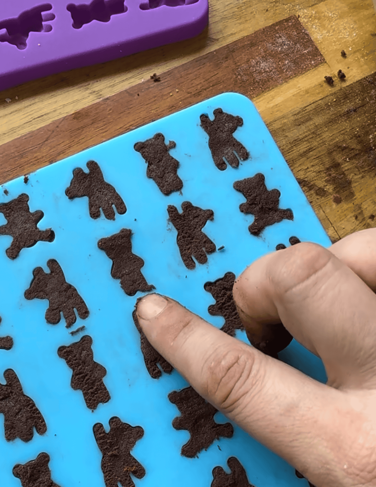 gluten free chocolate teddy grahams in a mold