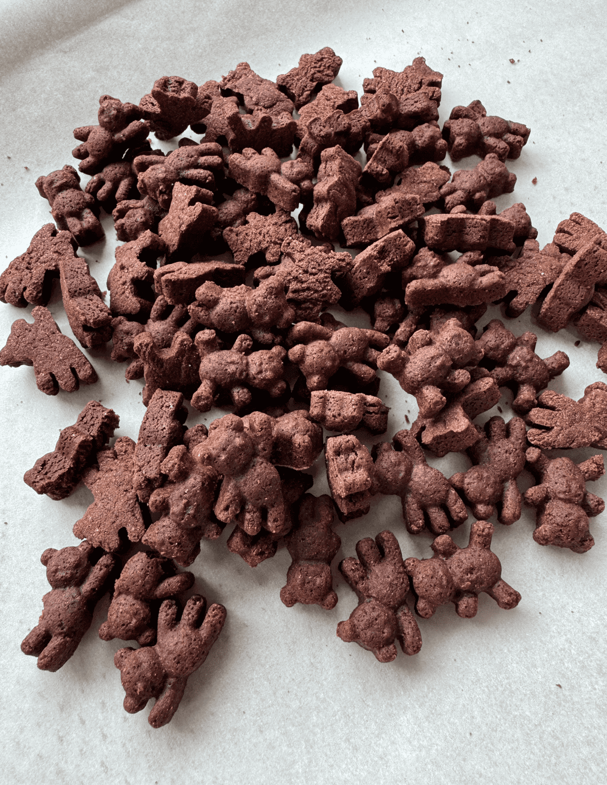chocolate teddy grams