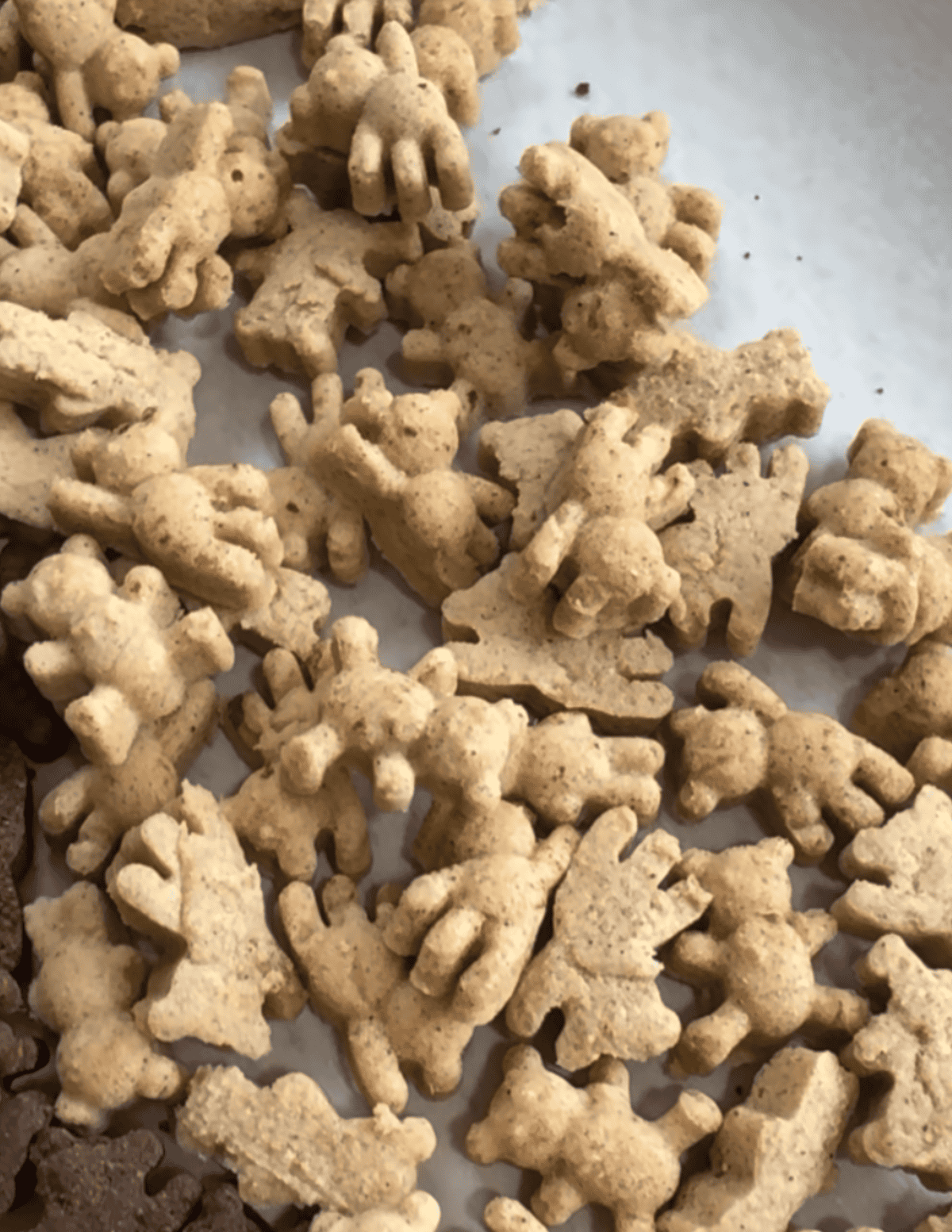 honey teddy grahams