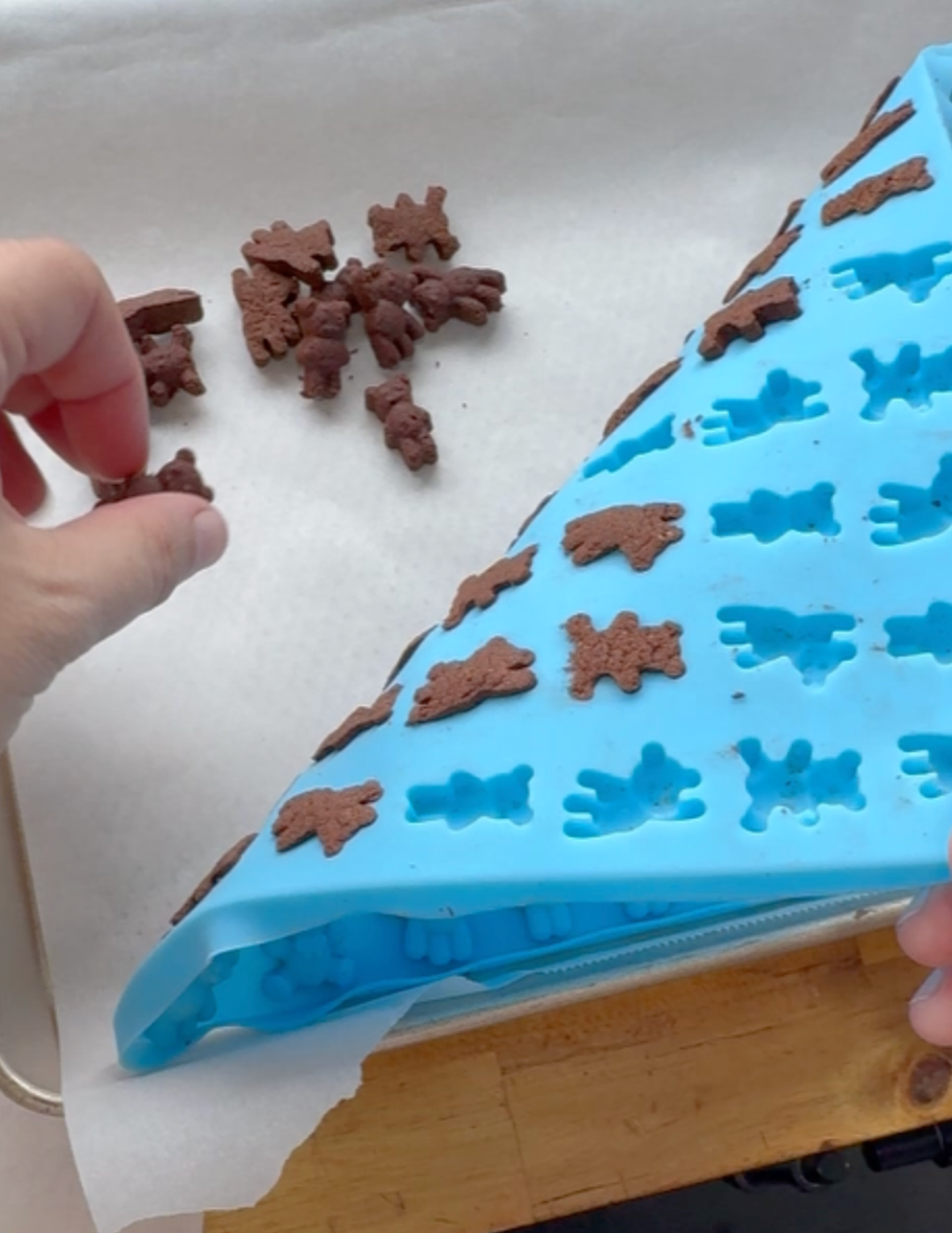 chocolate teddy grams in a blue mold